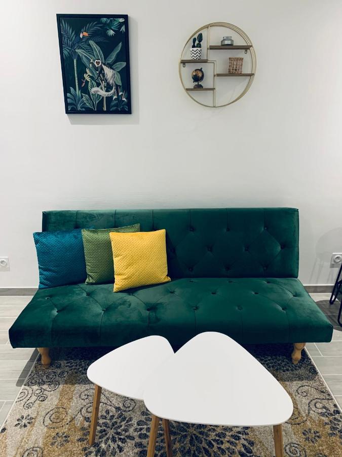 Maisonnette En Hyper Centre D'奥尔良 外观 照片